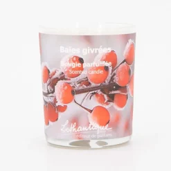 LOTHANTIQUE Bougie parfumee baies givrees 160g bgibg16 Mixte Hot