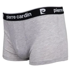 PIERRE CARDIN Boxer coton doux avec élastique noir Homme GRIS CLAIR Online