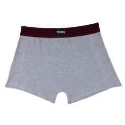 REDSKINS Boxer en coton Homme GRIS CLAIR Online