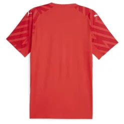 PUMA Maillot de sport gardien exterieur OM Homme ROUGE Discount
