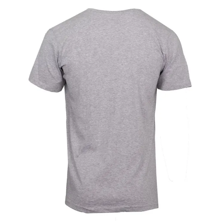 CHEVIGNON Pack de 2 tee shirts underwear en coton uni Homme GRIS CLAIR