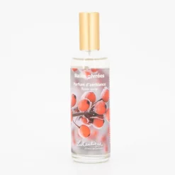 LOTHANTIQUE Parfum d'ambiance baies givrees 100 ml bgipa10 Mixte Best