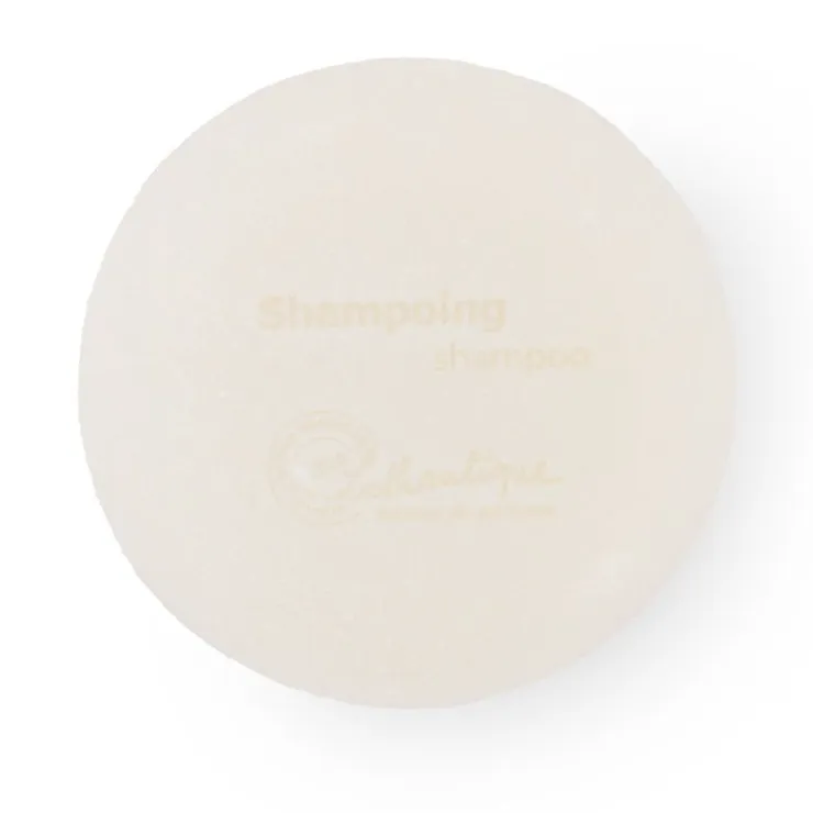 LOTHANTIQUE Shampoing solide 75g lait d'anesse Mixte Outlet