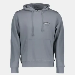 JACK & JONES Sweat à capuche yuki imprimé logo Homme GRIS Outlet