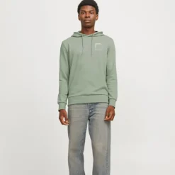 JACK & JONES Sweat capuche doux Verner coton Homme VERT CLAIR Outlet