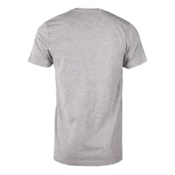 CERRUTI Tee shirt en coton aquarossa Homme GRIS CLAIR New